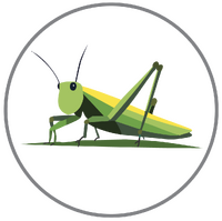 Explore by species