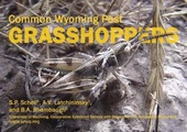 Common Wyoming Pest Grasshoppers