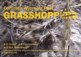 Common Wyoming Pest GrasshoppersPDF · 76 pages · 761 KB