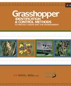 Grasshopper Identification & Control Methods to Protect Crops and the Environment