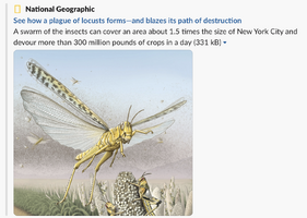 Interact with a locust swarm