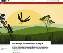 How a single locust becomes a plague