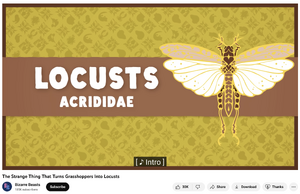 The Strange Thing That Turns Grasshoppers Into Locusts, Bizarre Beasts 2022