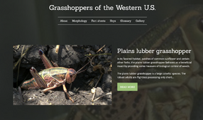 Grasshoppers of the Western U.S.